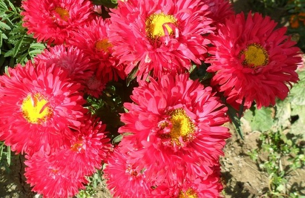 1629246069476170.jpg PX4IOPGK[3I5~8F2U`LVDST.jpg