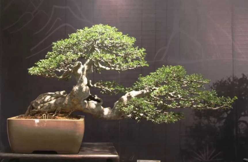 1629248621636583.jpg ({R5K9ZB7E}22~33DP7C_PH.jpg