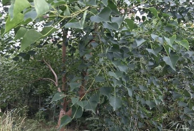 1629249384575336.jpg 9$_XBJ{`W2JW__@`C3$NE(V.jpg