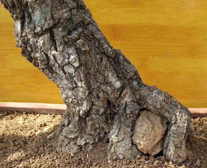 1629262641964188.jpg T)O5TAMFD_RG@A4L$SQ{Q)4.jpg