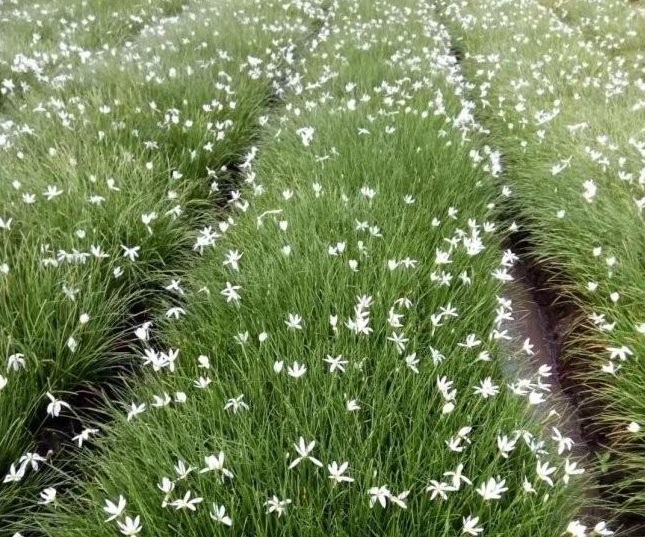 1629263588957428.jpg 68P}804%$FS2)2}F`GP5UFY.jpg