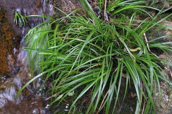 1629266717431828.jpg ZJC%T$(MJ0CL}CK1)(O5~OA.jpg