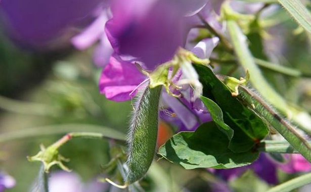 1629267216409679.jpg WETB61Z(TQDSHP0FUKN1A[4.jpg