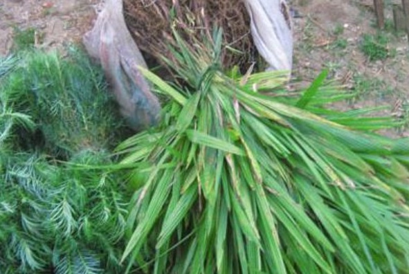 1629269367403344.jpg 9[E%%05S$A6`R}`6WLKHI44.jpg