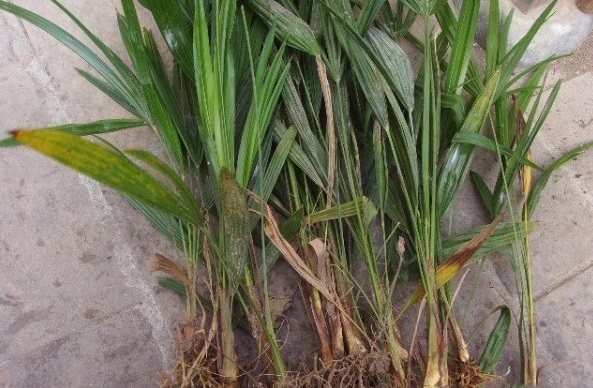 1629269382587683.jpg _}B4$XHH%~(R8TYP@JKK3(D.jpg