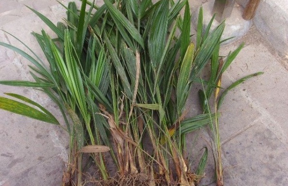 1629269393250109.jpg %ZGW%S`KN[}R2KPMJX@~334.jpg