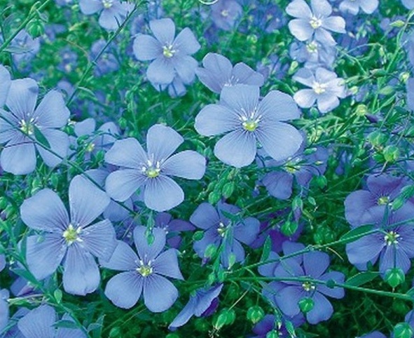 1629270857662932.jpg UH2S7KXG8B3CLF41B22Q_$I.jpg