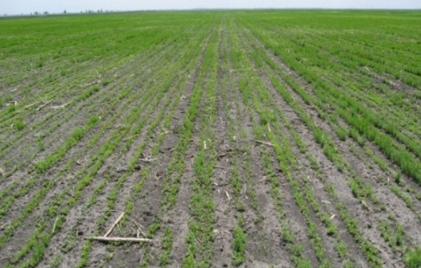 1629270883661362.jpg 8XZ)FO~__R[UKFVYM_4AT[A.jpg