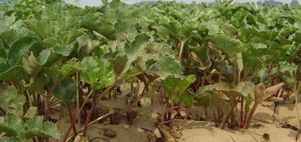 1629272044146361.jpg (G@}JFE(QPRRL_`$86K{HB0.jpg