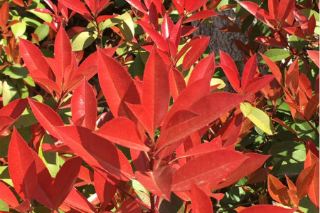 1629274449810457.jpg 1629274449810457.jpg