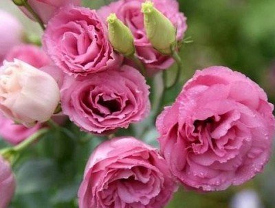 1629277410848974.jpg 1629277410848974.jpg