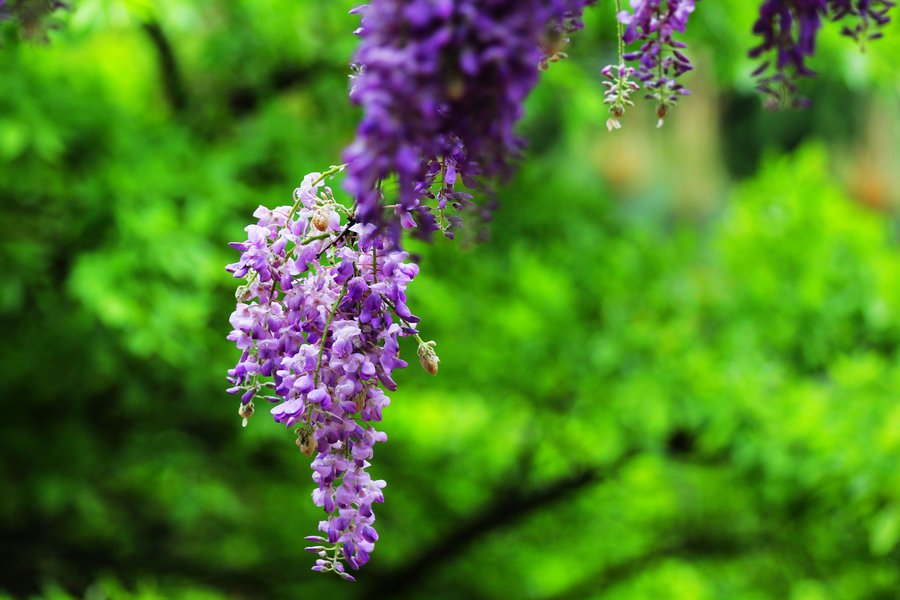 1629278262991127.jpg 1629278262991127.jpg