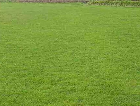 1629333854772357.jpg image.jpg