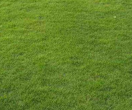 1629333910558320.jpg image.jpg