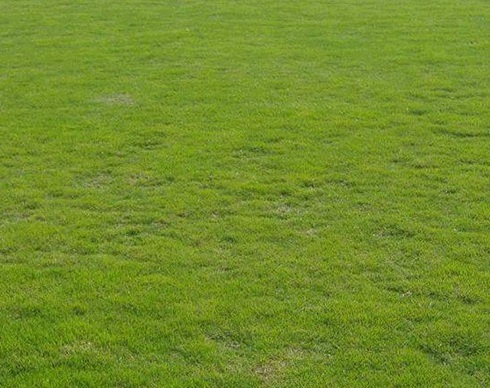 1629333918681442.jpg image.jpg