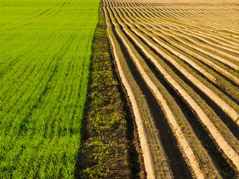 1629335286780821.jpg image.jpg