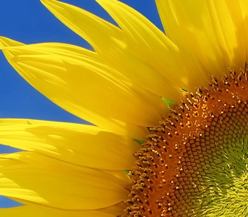 1629335399472234.jpg image.jpg