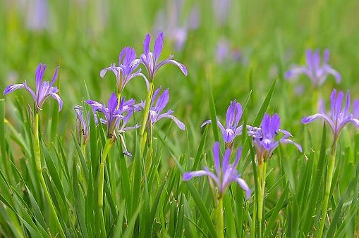 1629337082641076.jpg image.jpg