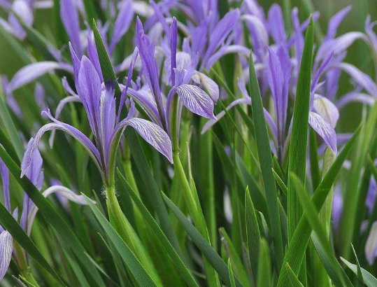 1629337105816580.jpg image.jpg