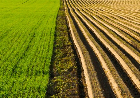 1629337275178805.jpg image.jpg