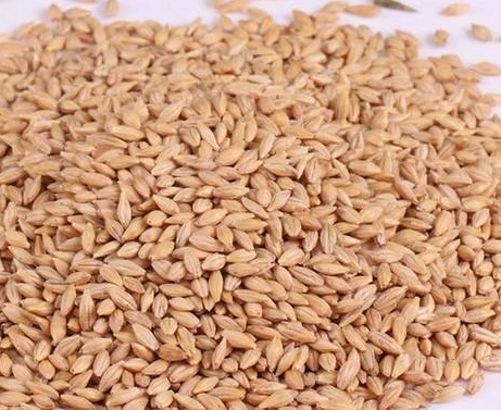 1629337294174548.jpg image.jpg