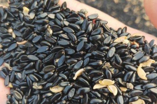 1629447018105782.jpg 1.jpg