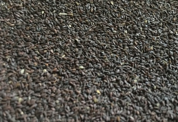 1629447231574566.jpg 4.jpg