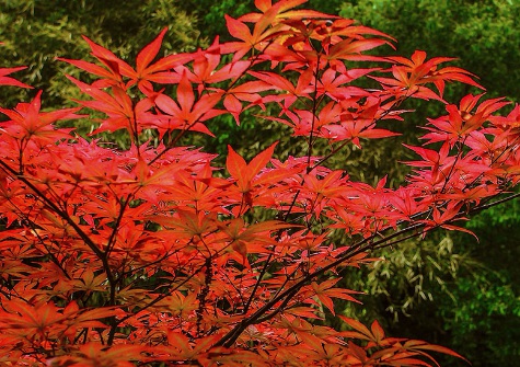 1629470486679144.jpg image.jpg