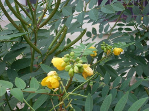 1629545742971079.jpg 1629545742971079.jpg