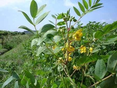 1629545769889108.jpg 1629545769889108.jpg