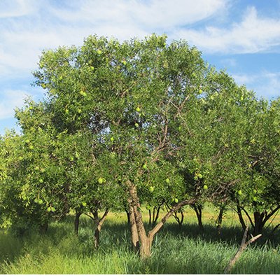 1629545940675950.jpg 1629545940675950.jpg