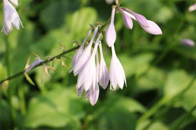 1629547367937672.jpg 1629547367937672.jpg