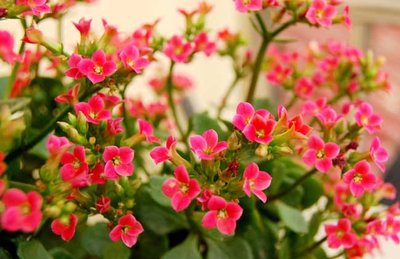 1629547807450317.jpg 1629547807450317.jpg