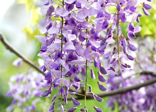 1629550062739282.jpg image.jpg