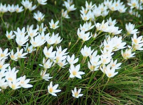 1629550465789536.jpg image.jpg