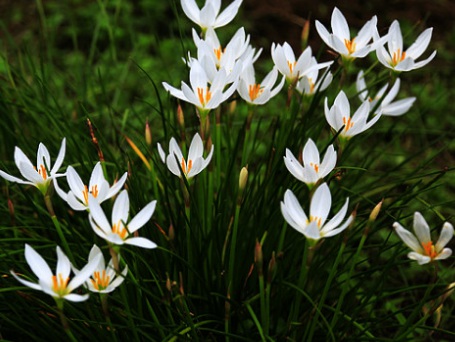 1629550497121013.jpg image.jpg