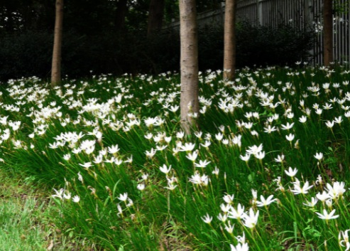 1629550507576448.jpg image.jpg