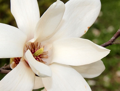 1629551178688490.jpg image.jpg