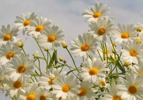 1629551244507333.jpg image.jpg