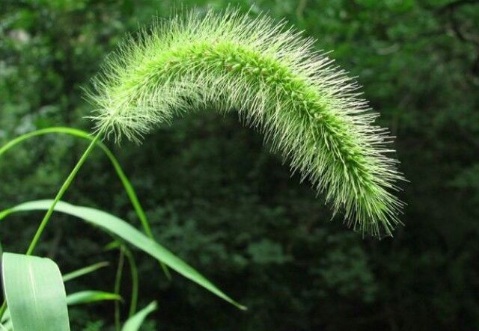 1629551422514211.jpg image.jpg