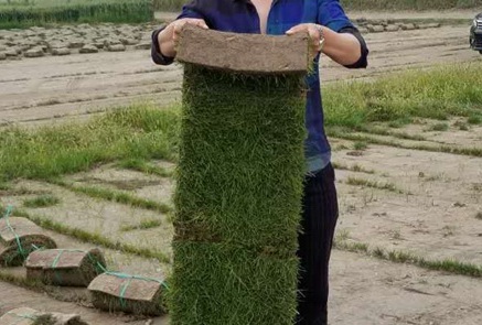 1629553358713761.jpg image.jpg