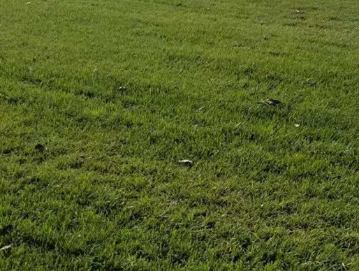 1629553364388856.jpg image.jpg