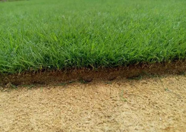 1629610082734213.jpg {))N$L30AD5@BAHCH0F5%[F.jpg