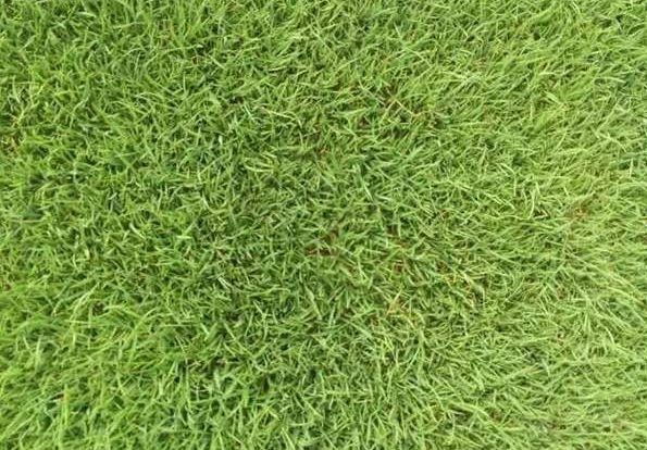 1629610096626163.jpg HCAF3KZZF}11%1Q(762Y@`G.jpg