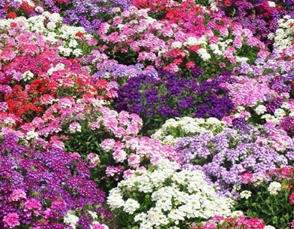 1629618185603156.jpg }Y%)QM7ZP}653OCVJ`D@(@V.jpg