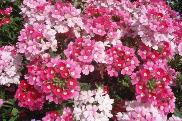 1629618196577604.jpg S}8SI({YS(1Q5S3K()5KU6Q.jpg