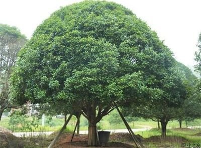 1629627726768041.jpg 1629627726768041.jpg