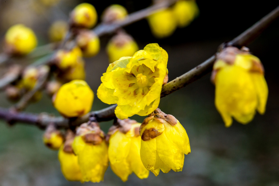 1629628292168630.jpg 1629628292168630.jpg