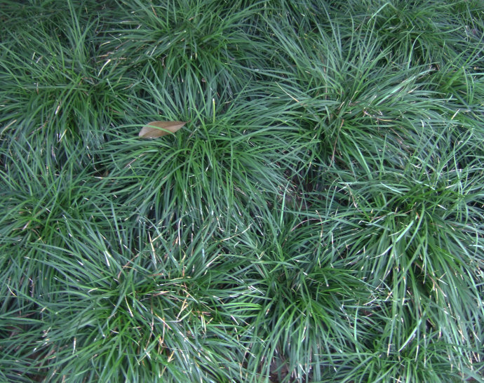 1629628701228701.jpeg 1629628701228701.jpeg