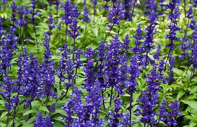 1629813104872997.jpg 1629813104872997.jpg